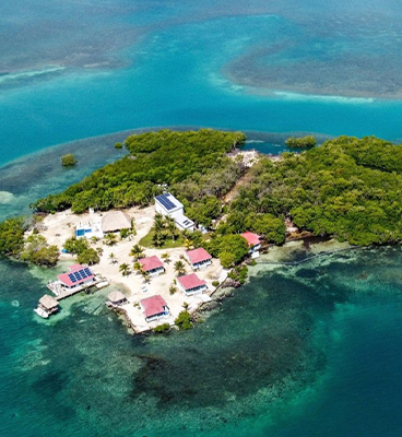 Blue Reef Island — Brand, website & booking system